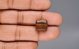 Tiger's Eye - 9.38 Carat Limited Quality TE-15090