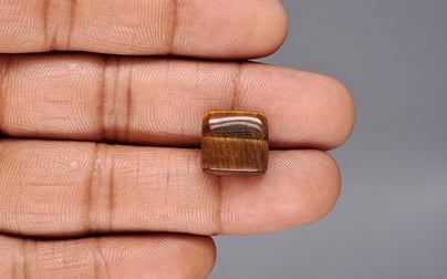 Tiger's Eye - 9.38 Carat Limited Quality TE-15090