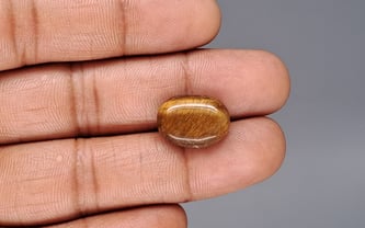 Tiger's Eye - 9.43 Carat Limited Quality TE-15083