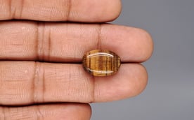 Tiger's Eye - 9.91 Carat Limited Quality TE-15088