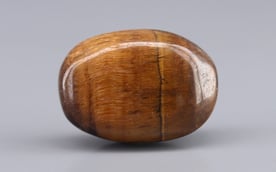 Tiger's Eye - 9.91 Carat Limited Quality TE-15088