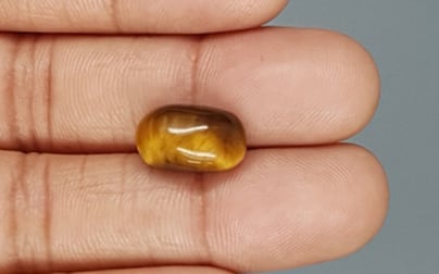 Tiger's Eye - TE 15031 Prime - Quality  7.24 Carat
