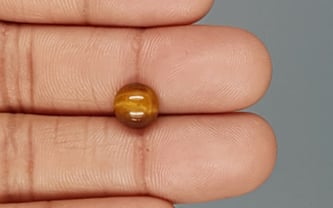 Tiger's Eye - TE 15063 Prime - Quality  2.3 Carat