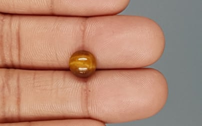 Tiger's Eye - TE 15063 Prime - Quality  2.3 Carat