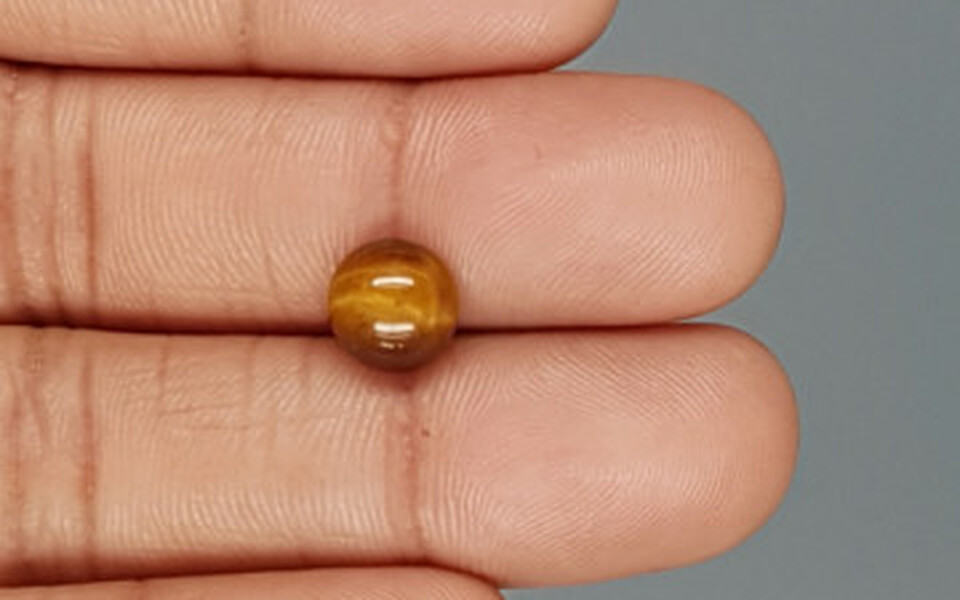Tiger's Eye - TE 15063 Prime - Quality  2.3 Carat