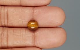 Tiger's Eye - TE 15063 Prime - Quality  2.3 Carat