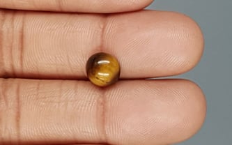 Tiger's Eye - TE 15066 Prime - Quality  2.01 Carat