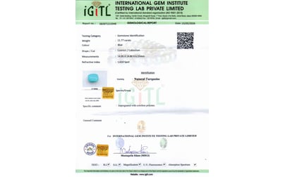 tqs-13813-certificate-tqs-13813-56528