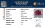 tu-21027-certificate-mgtltu-21027-38265