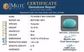 Turquoise - 18.16 Carat Prime Quality TQS-13531