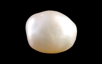 Venezuela Pearl - 13.06 Carat Limited Quality SSP-9050
