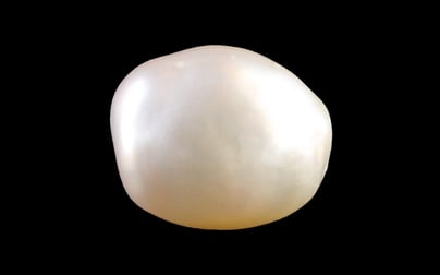 Venezuela Pearl - 13.06 Carat Limited Quality SSP-9050