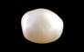 Venezuela Pearl - 13.06 Carat Limited Quality SSP-9050