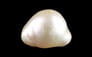 Venezuela Pearl - 15.27 Carat Limited Quality SSP-9057
