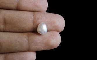 Venezuela Pearl - 2.45 Carat Limited Quality SSP-8628