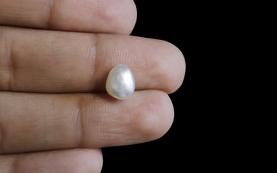 Venezuela Pearl - 2.45 Carat Limited Quality SSP-8628