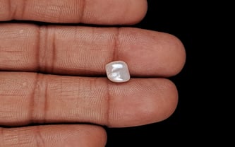 Venezuela Pearl - 2.45 Carat Limited Quality SSP-8950