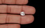 Venezuela Pearl - 2.45 Carat Limited Quality SSP-8950