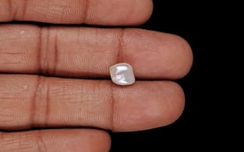 Venezuela Pearl - 2.45 Carat Limited Quality SSP-8950
