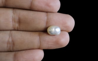 Venezuela Pearl - 2.72 Carat Limited Quality SSP-8631