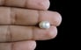 Venezuela Pearl - 2.72 Carat Limited Quality SSP-8631