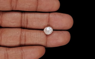 Venezuela Pearl - 2.74 Carat Limited Quality SSP-8953