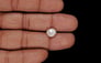 Venezuela Pearl - 2.74 Carat Limited Quality SSP-8953