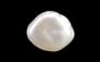 Venezuela Pearl - 2.74 Carat Limited Quality SSP-8953