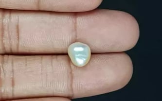 Venezuela Pearl - 3.13 Carat Limited Quality SSP-8778