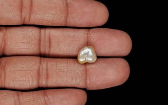 Venezuela Pearl - 3.22 Carat Limited Quality SSP-8961