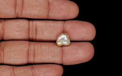 Venezuela Pearl - 3.22 Carat Limited Quality SSP-8961