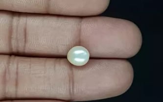 Venezuela Pearl - 3.23 Carat Limited Quality SSP-8804