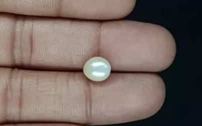 Venezuela Pearl - 3.23 Carat Limited Quality SSP-8804