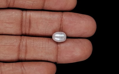 Venezuela Pearl - 3.25 Carat Limited Quality SSP-8948