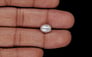 Venezuela Pearl - 3.25 Carat Limited Quality SSP-8948