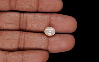 Venezuela Pearl - 3.33 Carat Limited Quality SSP-8949