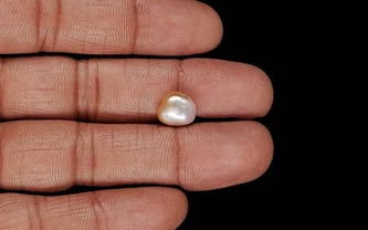 Venezuela Pearl - 3.39 Carat Limited Quality SSP-8963