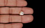 Venezuela Pearl - 3.39 Carat Limited Quality SSP-8963