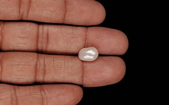 Venezuela Pearl - 3.47 Carat Limited Quality SSP-8978