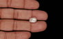 Venezuela Pearl - 3.47 Carat Limited Quality SSP-8978