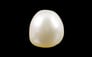 Venezuela Pearl - 3.48 Carat Limited Quality SSP-8552