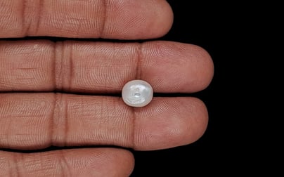 Venezuela Pearl - 3.51 Carat Limited Quality SSP-8947