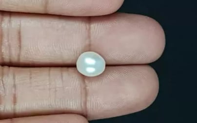 Venezuela Pearl - 3.53 Carat Limited Quality SSP-8775