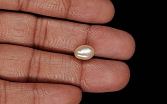 Venezuela Pearl - 3.68 Carat Limited Quality SSP-8959