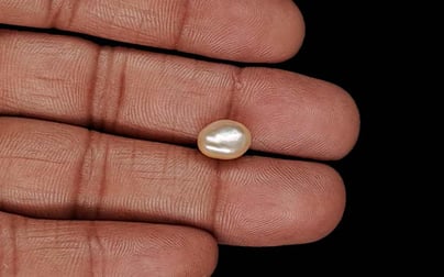 Venezuela Pearl - 3.68 Carat Limited Quality SSP-8959