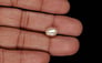 Venezuela Pearl - 3.68 Carat Limited Quality SSP-8959