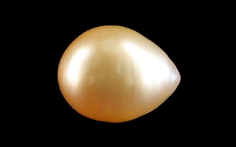 Venezuela Pearl - 3.87 Carat Limited Quality SSP-8955