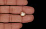 Venezuela Pearl - 4.00 Carat Limited Quality SSP-9025