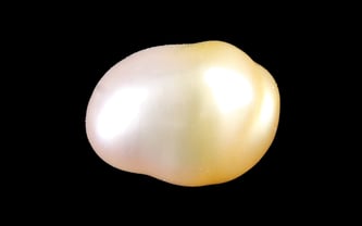 Venezuela Pearl - 4.16 Carat Limited Quality SSP-8964