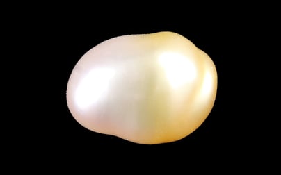 Venezuela Pearl - 4.16 Carat Limited Quality SSP-8964